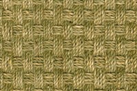 Zeegras Quattro 5535 Cunera 