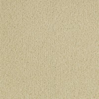 Chic 11613 Nouwens Bogaers Tapijt 