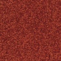 Diva 17550 Nouwens Bogaers Tapijt