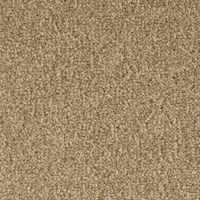 Enjoy 24640 Nouwens Bogaers Tapijt 