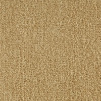 Enjoy 24630 Nouwens Bogaers Tapijt 