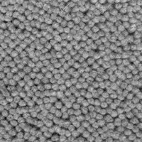 Highfield 6104 Oester Nouwens Bogaers Tapijt