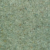 Lounge 1615 Jungle Nouwens Bogaers Tapijt 