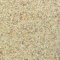 Lounge 1606 Blush Nouwens Bogaers Tapijt 