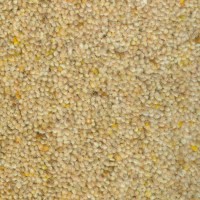 Lounge 1612 Tusk Nouwens Bogaers Tapijt 