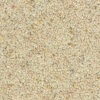 Nature 2110 Prairie Nouwens Bogaers Tapijt  