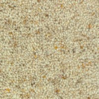 Nature 2101 Savanne Nouwens Bogaers Tapijt