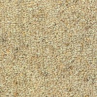 Nature 2102 Amazone Nouwens Bogaers Tapijt 