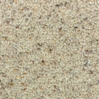 Nature 2114 Dune Nouwens Bogaers Tapijt 