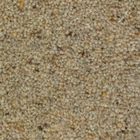 Nature 2107 Pampa Nouwens Bogaers Tapijt