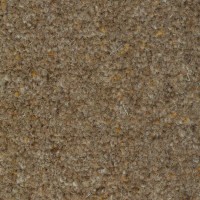 Nature 2105 Galapagos Nouwens Bogaers Tapijt 