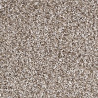 Passion 21620 Nouwens Bogaers Tapijt 