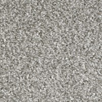 Passion 21920 Nouwens Bogaers Tapijt 