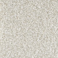 Passion 21010 Nouwens Bogaers Tapijt 