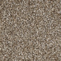 Passion 21630 Nouwens Bogaers Tapijt 