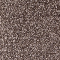 Passion 21760 Nouwens Bogaers Tapijt 