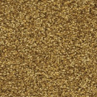 Passion 21350 Nouwens Bogears Tapijt 