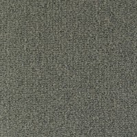 Scala 25980 Nouwens Bogaers Tapijt 