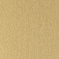 Scala 25620 Nouwens Bogaers Tapijt 