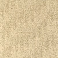 Scala 25605 Nouwens Bogaers Tapijt 