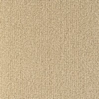 Scala 25625 Nouwens Bogaers Tapijt 