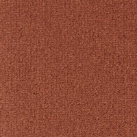 Scala 25565 Nouwens Bogaers Tapijt 