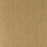 Scala 25680 Nouwens Bogaers Tapijt 