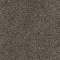 Thebe 2840 Nouwens Bogaers Tapijt 