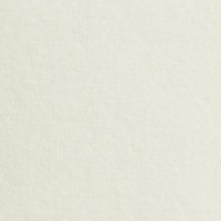 Thebe 2801 Nouwens Bogaers Tapijt 