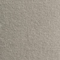 Thebe 2841 Nouwens Bogaers Tapijt 