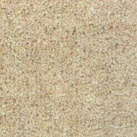 Woolclass 4720 Isabel Nouwens Bogaers Tapijt 