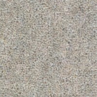 Woolclass 2819 Mangrove Nouwens Bogaers Tapijt 