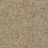 Woolclass 4765 Gazelle Nouwens Bogaers Tapijt 