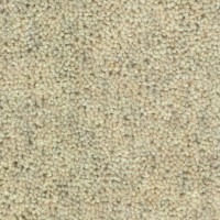 Woolclass 4793 Ginger Nouwens Bogaers Tapijt 