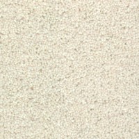 Woolstar 1405 Cream Nouwens Bogaers Tapijt 