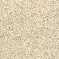 Woolstar 1401 Ivory Nouwens Bogaers Tapijt 