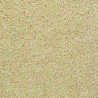 Woolstar 1403 Sand Nouwens Bogaers Tapijt 