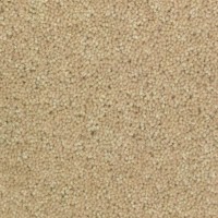 Woolstar 1404 Manilla Nouwens Bogaers Tapijt 