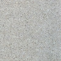 Woolstar 1411 Greige Nouwens Bogaers Tapijt 