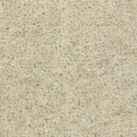 Wooltwist 2206 Wave Nouwens Bogaers Tapijt 