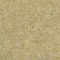 Wooltwist 2207 Sesam Nouwens Bogaers Tapijt 