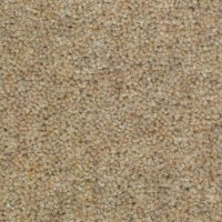 Wooltwist 2264 Cosmos Nouwens Bogaers Tapijt 