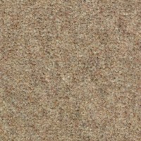 Wooltwist 2200 Coral Nouwens Bogaers Tapijt 