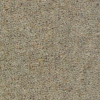 Wooltwist 2269 Praline Nouwens Bogaers Tapijt 