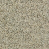 Wooltwist 2278 Pepper Nouwens Bogaers Tapijt 