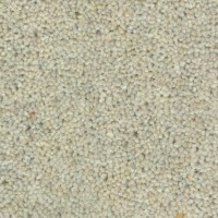 Wooltwist Oester 2262 Nouwens Bogaers Tapijt 