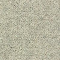 Wooltwist 2210 Tonic Nouwens Bogaers Tapijt 