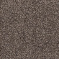 Belmont 60770 Nouwens Bogaers Tapijt Planks 