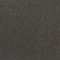 Gemini 195 Belakos Tapijt Resistanz Collectie 