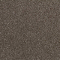 Gemini 235 Belakos Tapijt Resistanz Collectie 